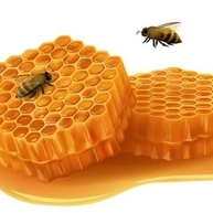 Csodatévő méz